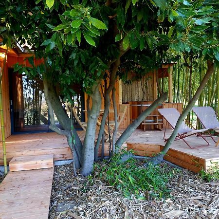Maisonette Et Spa Bois La Bégude-de-Mazenc Exteriér fotografie
